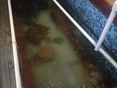 -自己人(九码头店)