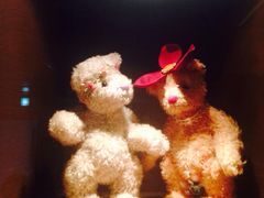 泰迪熊博物馆-济州岛泰迪熊博物馆