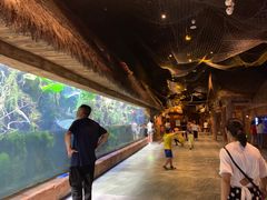 -华夏文旅海洋公园