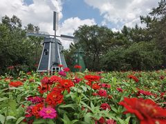 -黑龙江省森林植物园