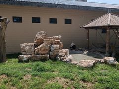 -石家庄市动物园