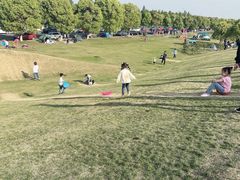 -滆湖低碳生态公园