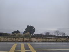-苏州太湖国家湿地公园
