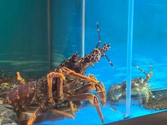 -西村日本料理(香格里拉饭店)