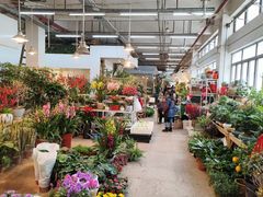 -双季花艺园艺市场(浦东店)
