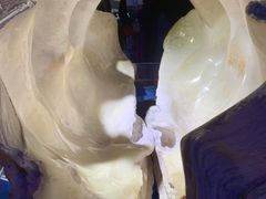 -贝壳梦幻世界