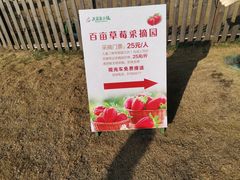 -米果果小镇