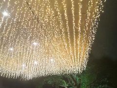 -上海虹桥祥源希尔顿酒店