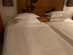 -三亚湾红树林度假世界(木棉酒店)