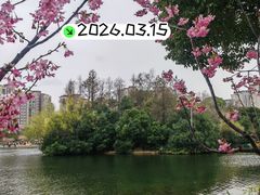 -新江湾城公园