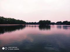 -后海公园