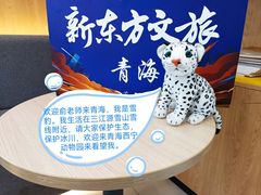 -青藏高原野生动物园