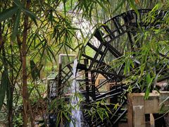-大屏嶂森林公园