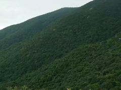 -白河堡水库