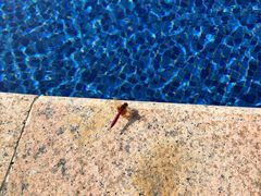 -大盘山温泉山庄