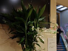 -汤泉良子.足疗按摩.SPA(中关村店)