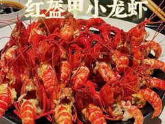 -红盔甲·小龙虾(天钥桥店)
