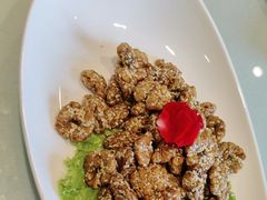 -海派美食·家宴海鲜青岛菜·石锅鲽鱼头(东方城店)