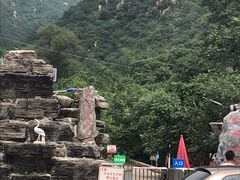 -大岭沟猕猴桃谷风景区