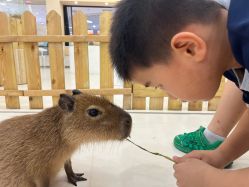 -Moni星球萌宠·小马宝莉·灵蛇·高端高阶全萌宠互动体验俱乐部(红豆国际广场店)