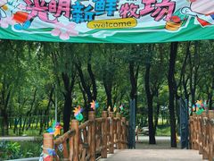 -光明牧业有限公司金山种奶牛场