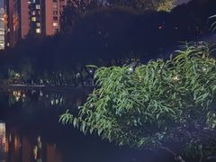 -团结湖公园