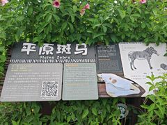 -海南热带野生动植物园