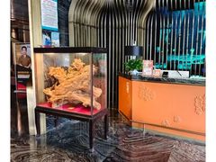 -索拉古贝(义乌北苑店)