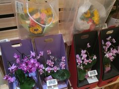 -盒马鲜生(金桥国际广场店)