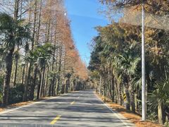 -上海海湾国家森林公园