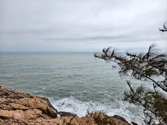 -广东惠东海龟国家级自然保护区