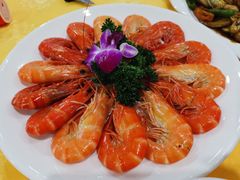 白灼九节虾-蚝专家(北滘店)