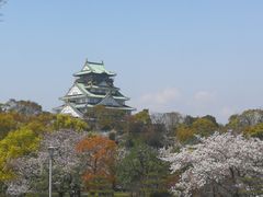 -大国药妆(NEW心斎橋店)