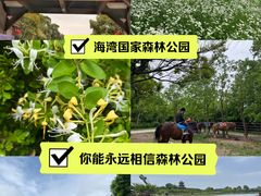 -上海海湾国家森林公园