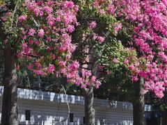 -华南师范大学(广州大学城校区)