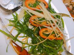 -老明馨潮汕大排档