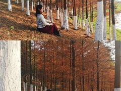 -东莞植物园