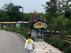 -欢乐松鼠谷