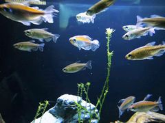 -上海海洋水族馆-停车场