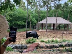 -清迈夜间动物园