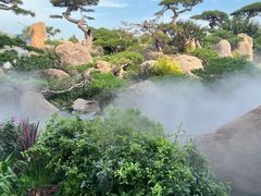 -罗红摄影艺术馆