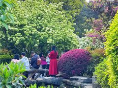 -铁山坪森林公园