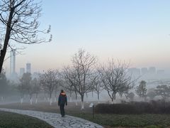 -白塘生态植物园