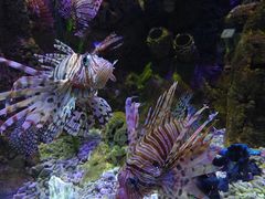 -太平洋海底世界