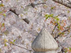 -苏州上方山国家森林公园
