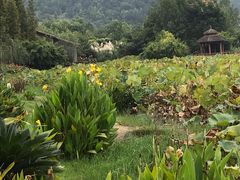 -贵阳市花溪国家城市湿地公园