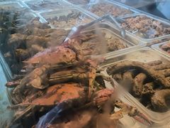 -老号尤兔头(幸福店)