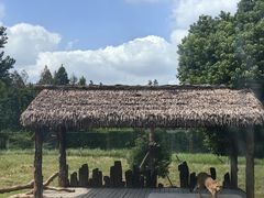 -上海野生动物园