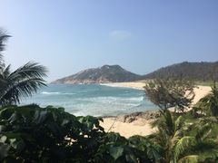 -广东惠东海龟国家级自然保护区
