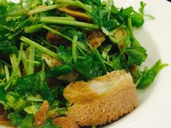 -高第街56号餐厅(宝龙店)
